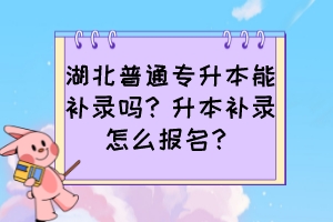 湖北普通专升本能补录吗？升本补录怎么报名？