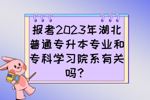 报考2023年湖北普通专升本专业和专科学习院系有关吗？