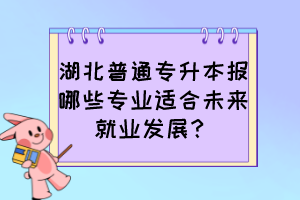 湖北普通专升本报哪些专业适合未来就业发展？