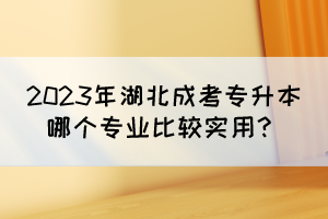 2023年湖北成考专升本哪个专业比较实用？