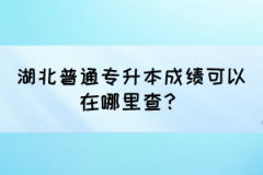 湖北普通专升本成绩可以在哪里查？