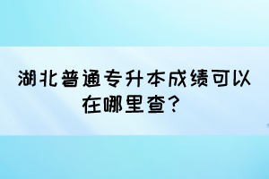 湖北普通专升本成绩可以在哪里查？