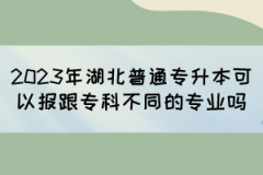 2023年湖北普通专升本可以报跟专科不同的专业吗？