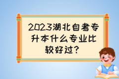 2023湖北自考专升本什么专业比较好过？