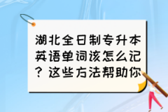 湖北全日制专升本英语单词该怎么记？这些方法帮助你