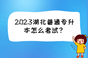 2023湖北普通专升本怎么考试？