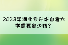 2023年湖北专升本自考大学需要多少钱？