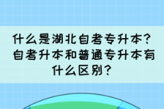 什么是湖北自考专升本？自考升本和普通专升本有什么区别？