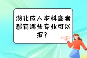 湖北成人本科高考都有哪些专业可以报？