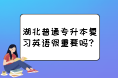 湖北普通专升本复习英语很重要吗？