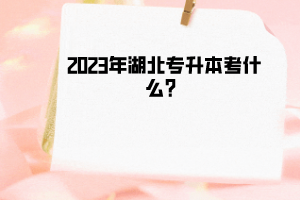 2023年湖北专升本考什么？