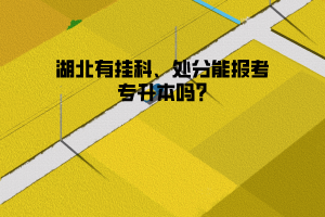 湖北有挂科、处分能报考专升本吗?