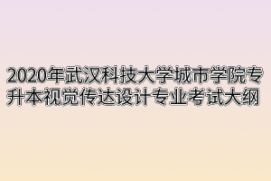 2020年武汉科技大学城市学院专升本视觉传达设计专业考试大纲