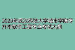 2020年武汉科技大学城市学院专升本软件工程专业考试大纲