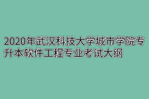 2020年武汉科技大学城市学院专升本软件工程专业考试大纲