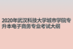 2020年武汉科技大学城市学院专升本电子商务专业考试大纲