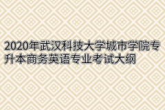 2020年武汉科技大学城市学院专升本商务英语专业考试大纲