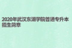 2020年武汉东湖学院普通专升本招生简章