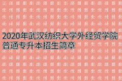 2020年武汉纺织大学外经贸学院普通专升本招生简章