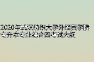 2020年武汉纺织大学外经贸学院专升本专业综合四考试大纲