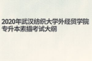 2020年武汉纺织大学外经贸学院专升本素描考试大纲