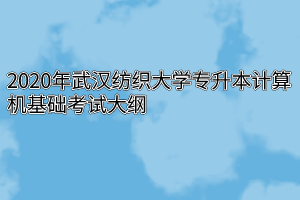 2020年武汉纺织大学专升本计算机基础考试大纲