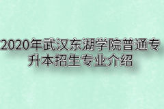 2020年武汉东湖学院普通专升本招生专业介绍