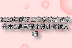 2020年武汉工商学院普通专升本C语言程序设计考试大纲