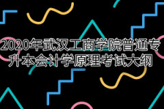 2020年武汉工商学院普通专升本会计学原理考试大纲