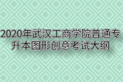 2020年武汉工商学院普通专升本图形创意考试大纲