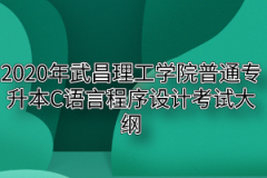 2020年武昌理工学院普通专升本C语言程序设计考试大纲