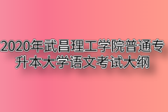 2020年武昌理工学院普通专升本大学语文考试大纲