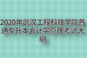 2020年武汉工程科技学院普通专升本会计学原理考试大纲