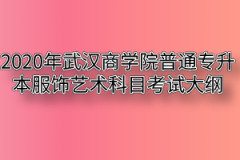 2020年武汉商学院普通专升本服饰艺术科目考试大纲