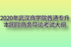 2020年武汉商学院普通专升本国际商务导论考试大纲