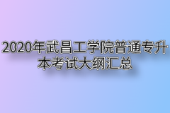 2020年武昌工学院普通专升本考试大纲汇总