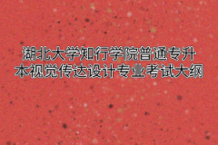 2020年湖北大学知行学院普通专升本视觉传达设计专业考试大纲