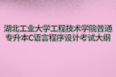 2020年湖北工业大学工程技术学院普通专升本C语言程序设计考试大纲