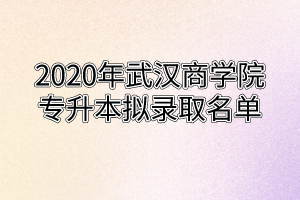 2020年武汉商学院专升本拟录取名单