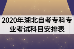 2020年湖北自考专科专业考试科目安排表