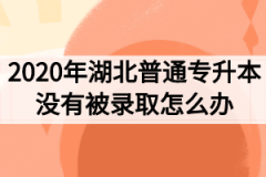 2020年湖北普通专升本没有被录取怎么办？