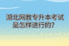 湖北网教专升本考试是怎样进行的？