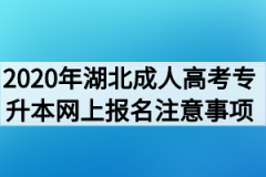 2020年湖北成人高考专升本网上报名注意事项