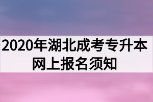 2020年湖北成考专升本网上报名须知