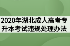 2020年湖北成人高考专升本考试违规处理办法