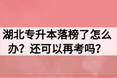 湖北专升本落榜了怎么办？还可以再考吗？