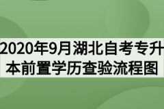 2020年9月湖北自考专升本前置学历查验流程图