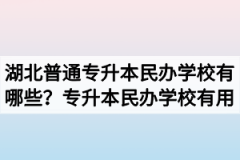 湖北普通专升本民办学校有哪些？专升本民办学校有用吗