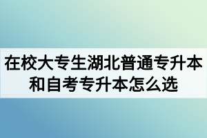 在校大专生湖北普通专升本和自考专升本怎么选？有什么区别