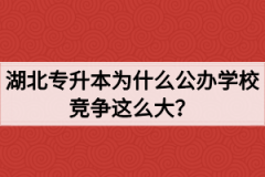 湖北专升本为什么公办学校竞争这么大？